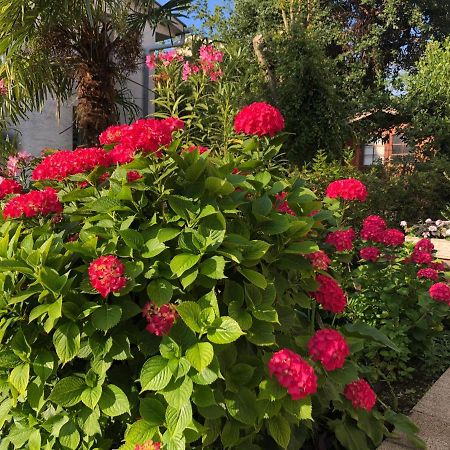 Casa Hortensia Нівице Екстер'єр фото